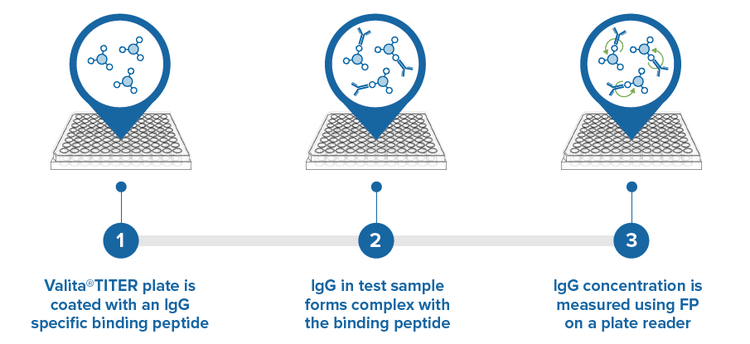 assay workflow overview