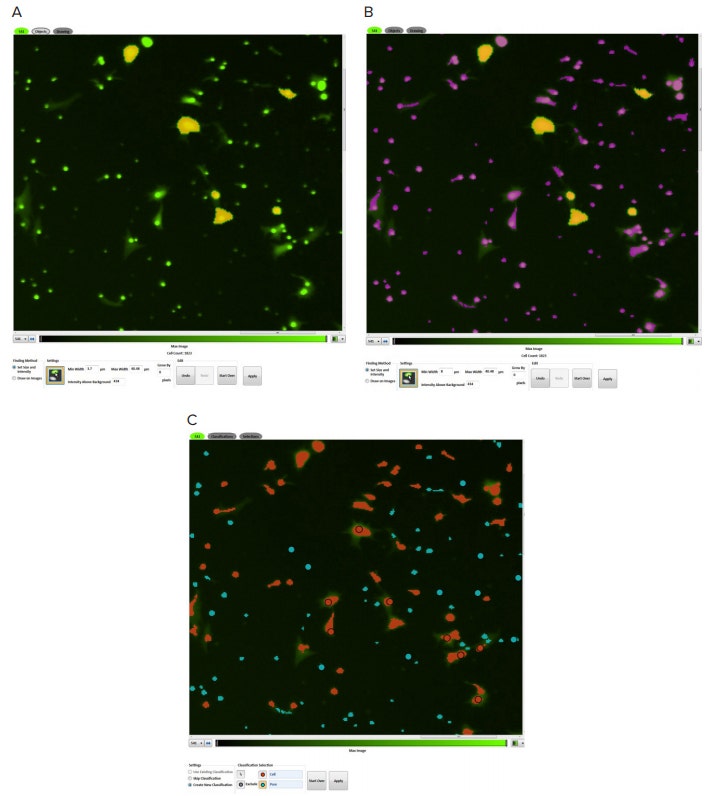 Object identification