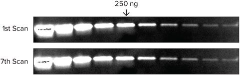 Signal is very stable and reproducible even after scanning multiple times