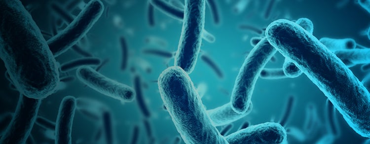 Antibiotic on Bacterial Growth
