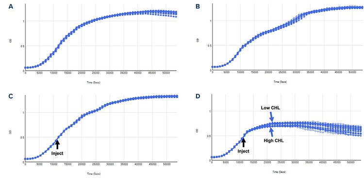 Kinetic traces of replicate wells