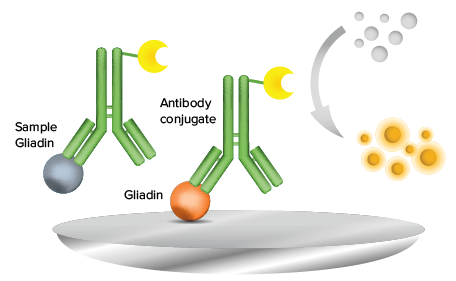 RIDASCREEN Gliadin competitive ELISA