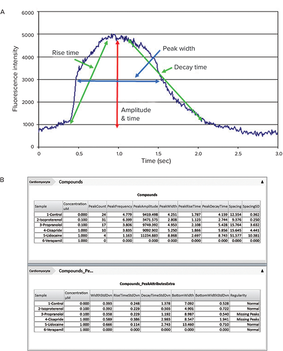 Peak Pro™ analysis algorithms