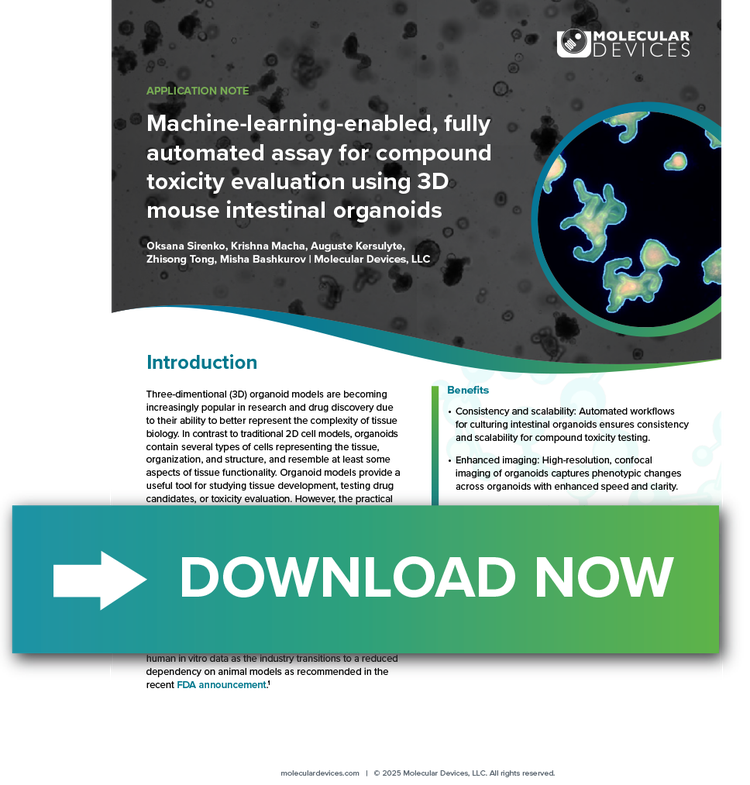 Seientific Poster on 3D mouse intestinal organoids