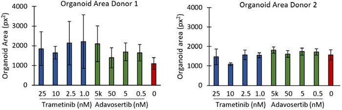 Area of PDOs treated with different concentrations of trametinib or adavosertib