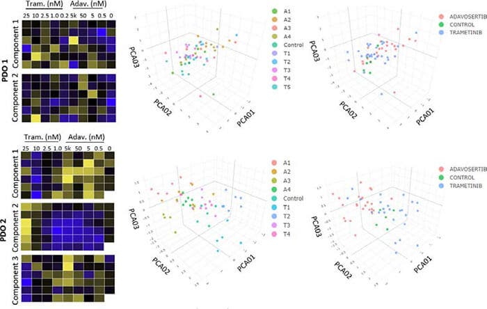 Heat maps and principal component analysis (PCA)