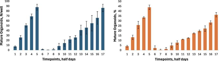 Graphical representation of the % and number of mature phenotype of CRC organoids over time