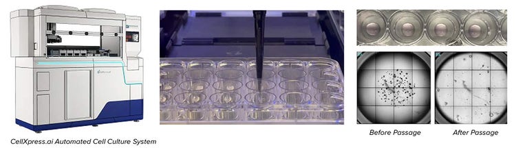 Automated seeding, imaging, monitoring, and passaging 3D organoids with CellXpress.ai system