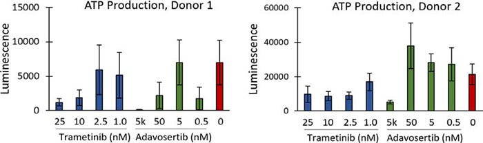 ATP production of PDOs, as measured by CellTiter-Glo 3D, performed at the end of the assay