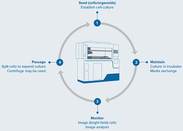 Schematic diagram of automated iPSC culture