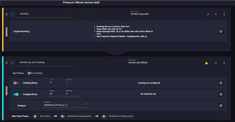 Two-step protocol for seeding mouse intestinal organoids in 15μl Matrigel domes into 96-well IBIDI plates
