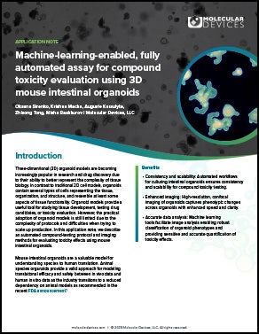 Seientific Poster on 3D mouse intestinal organoids