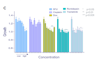 To quantify organoid growth over time, the total area of organoids on day 7 was normalized to the total area of pre-treated organoids. Control organoids show an average of \~30% growth. Growth inhibition was significant in doxorubicin, romidepsin, and trematinib treated organoids (based on 2-way ANOVA test)