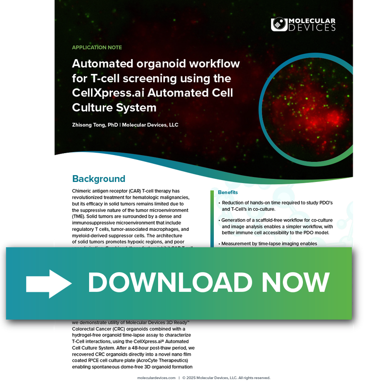 Organoid Workflow for T-cell Screening App Note