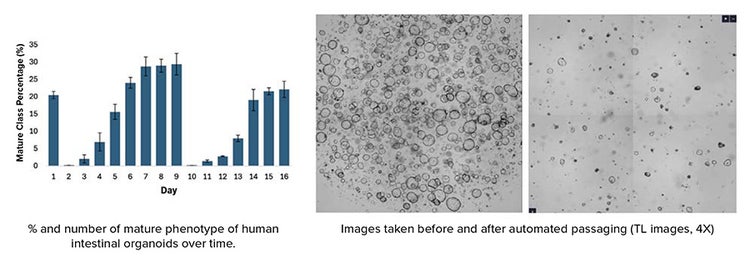 Image taken before and after automated passaging