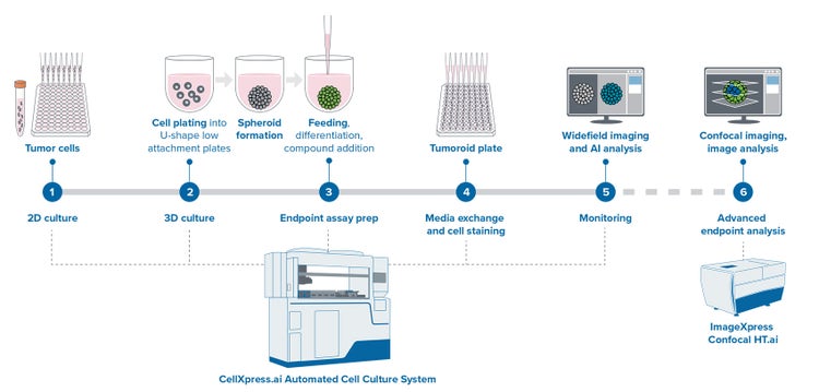 Schematic diagram of automated spheroid culture