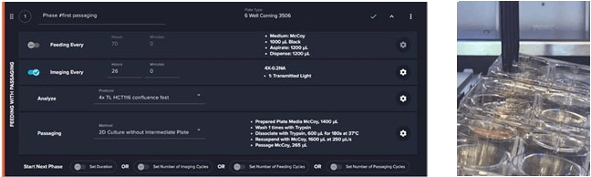 Showing experimental protocol titled HCT116 2D Feeding & Passaging 1:10 with Decision – for Expansion
