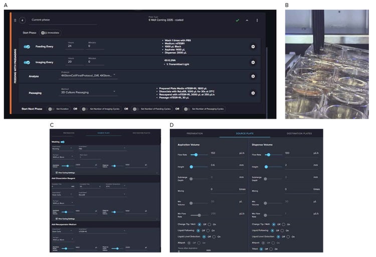 Software screenshot of automated iPSC culture protocol includes Feeding, Imaging, Analysis