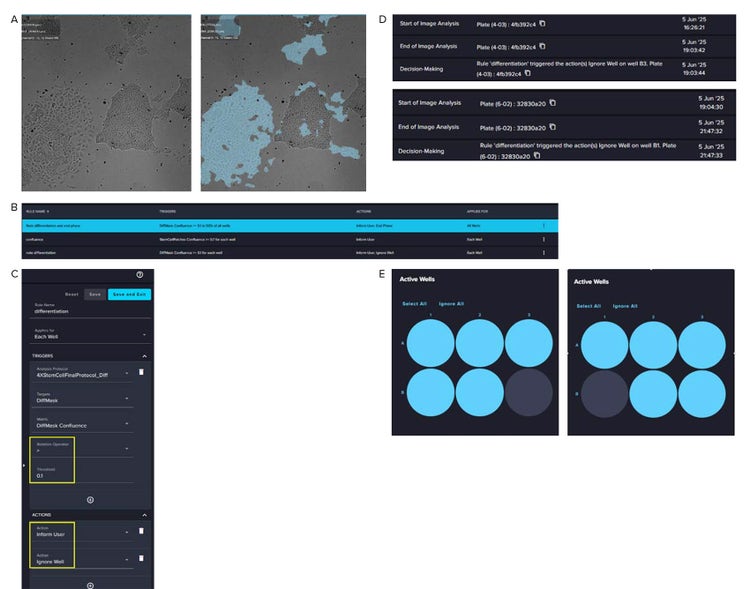 Differentiated iPSC patches with analysis masks, automated exclusion rules, event log, and plate map showing excluded wells