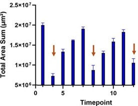 Plot showing the change in total area sum (μm²) of HCT116 cell