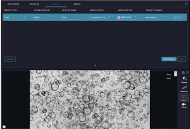 Organoid segmentation and Image analysis using Flexi-protocol 2D