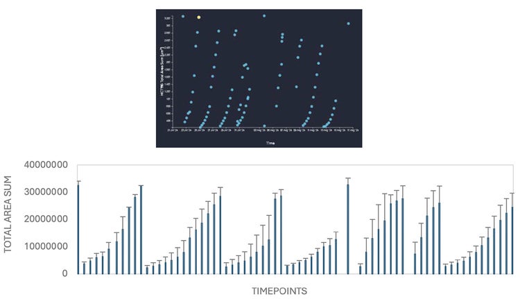 Growth patterns of HCT116 cells on remotely automated experiment on CellXpress.ai