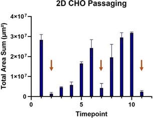 Plot showing the change in total area sum (μm²) of CHO cells averaged across all plates imaged