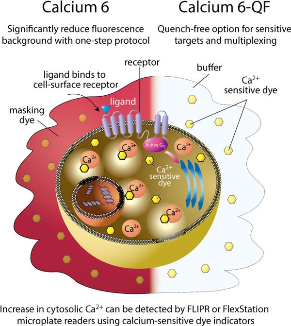 Assay flexibility with or without masking technology