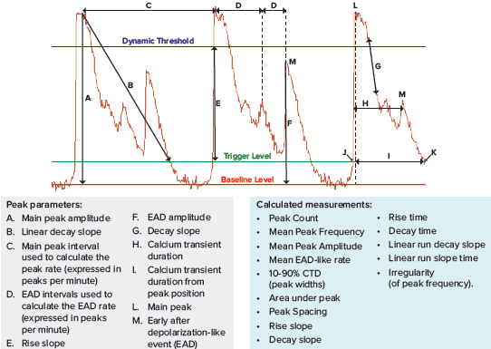 ScreenWorks Peak Pro 2 software mesured characterize peaks