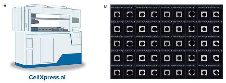 CellXpress.ai system and 96-well plates with cultured neural organoids
