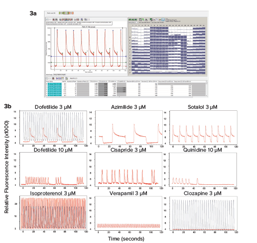 High-throughput recording & analysis using FLIPR Penta system