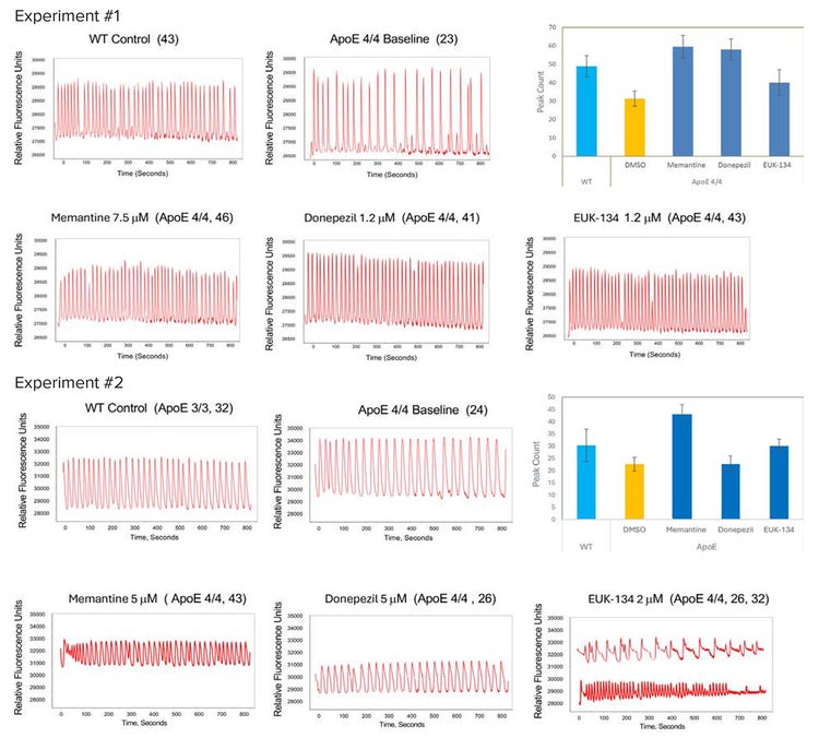 Ca2+ oscillations of WT (ApoE 3/3) and GABA-neurons contain ApoE 4/4 mutation calcium imaging FLIPR Penta