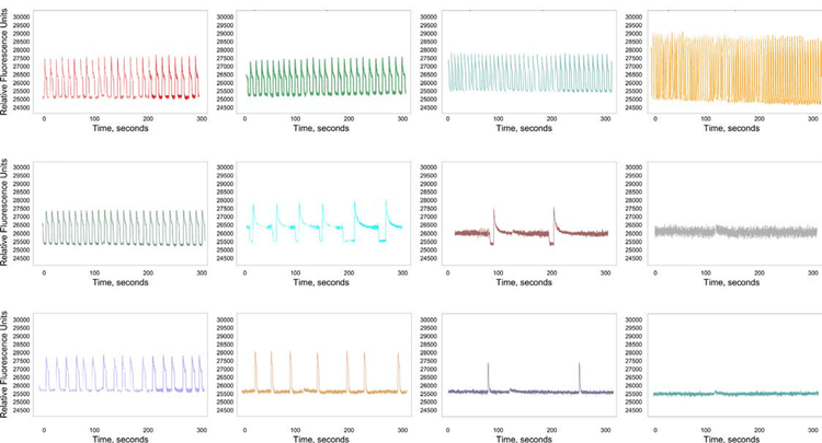 The tracing curve of fluorescence signals of Isoproterenol and 10 μM; and Chlorpromazine at 0.15, 0.6, 2.5, and 10 μM