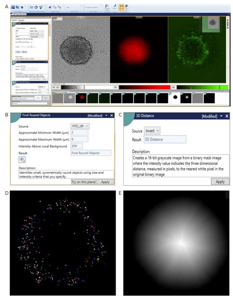 The CME interface with TL channel