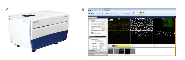 Image acquisition and analysis workflow