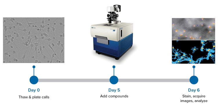 Simplified quantitation workflow using automated imaging