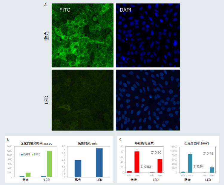 GPCR Activation Assay