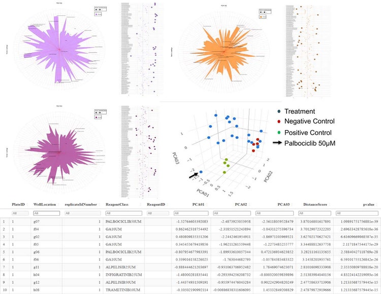Clustering and ranking via the principal component analysis