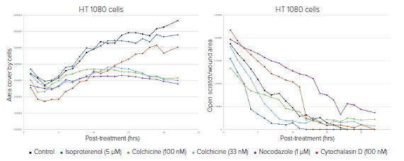 Data plotted of HT1080 Cells Migrating