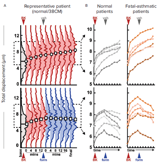 Contractility data collected from micropattern images