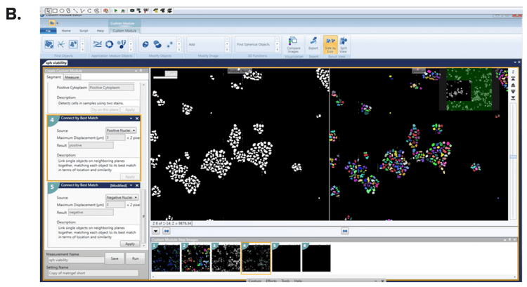 Cell Scoring modules