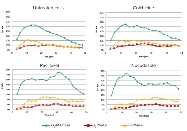 Effect of compound treatment on cell cycle phase over duration of 48 h