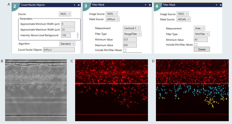 Custom module editor set up for high throughput image analysis