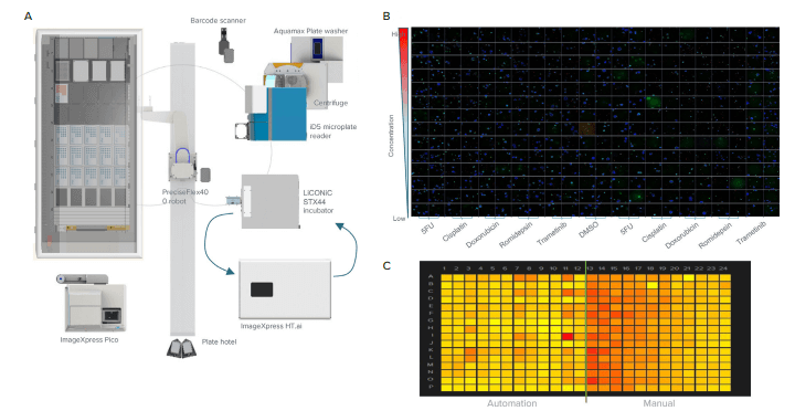 Layout of Automation work Cell is illustrated