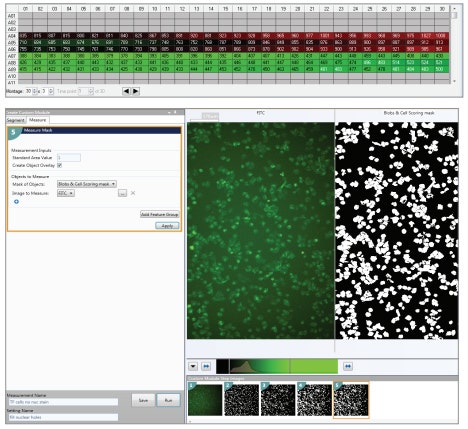 Determine cell proliferation rate in significant number of cells due to large field-of-view