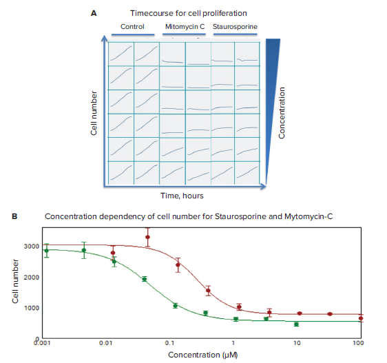 Timecourse for cell proliferation