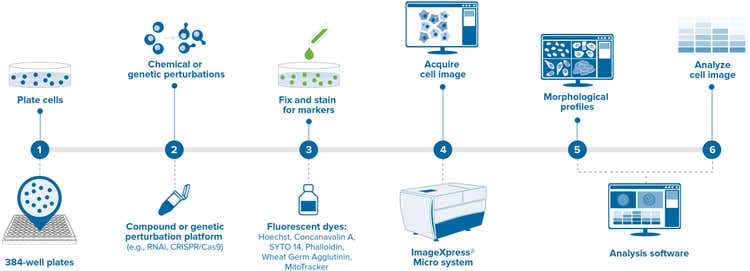 Cell Painting Workflow