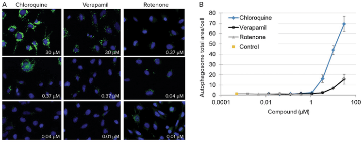 Effects of exposure to experimental compounds on rat PC-12 cells.