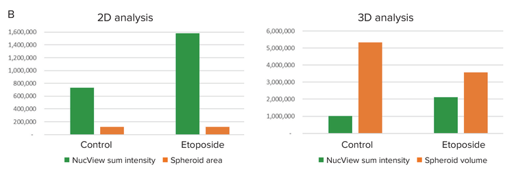 Comparison of 2D and 3D analysis