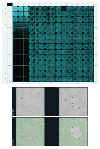 Identifying pipetting artifacts using low magnification scan